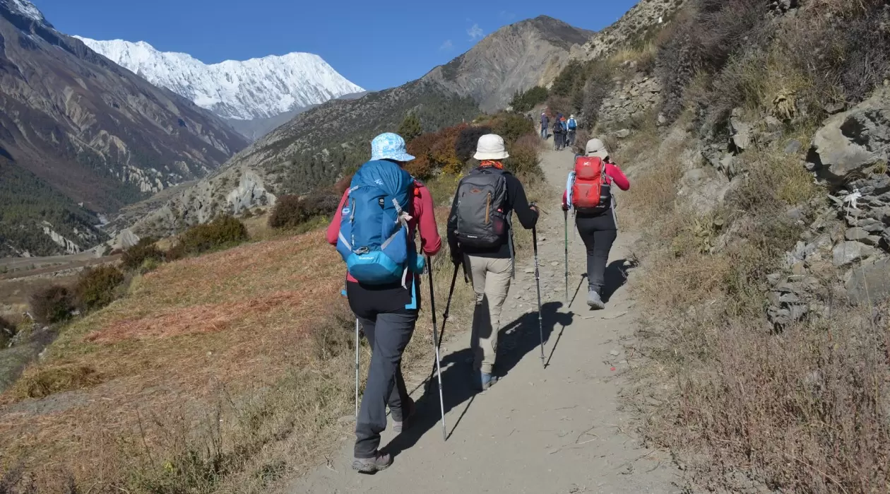 Trek dans la région des Annapurnas