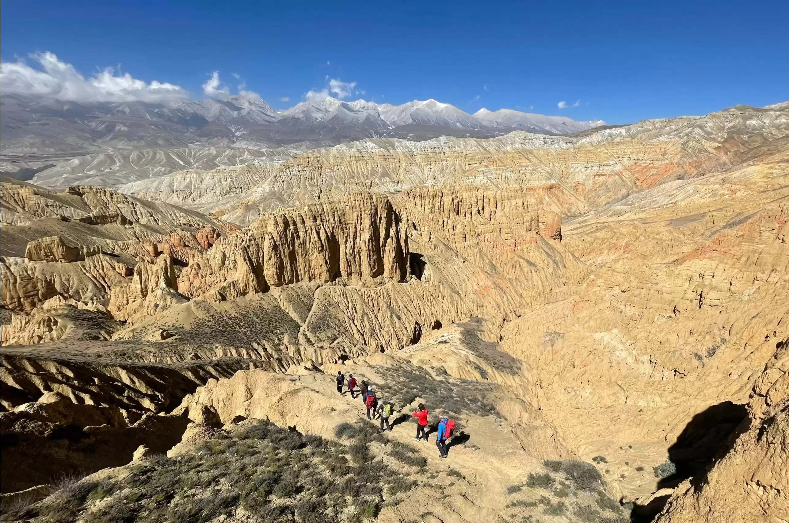 Trek en haut Mustang