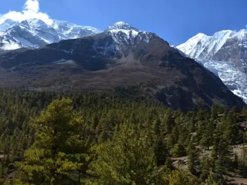 Le grand tour des Annapurnas